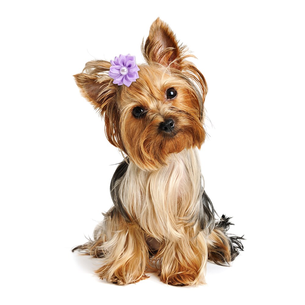 20pcs/lot Jolis Noeuds de Cheveux pour Chiens Chiot Yorkshire