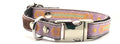 Collier Chien Personnalisé pour Petits Chiens