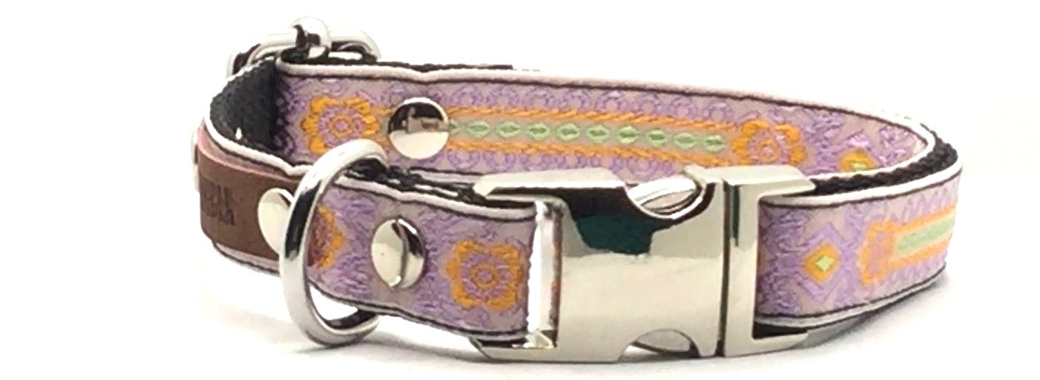 Collier Chien Personnalisé pour Petits Chiens