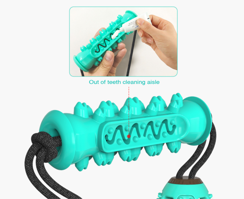 Os en caoutchouc pour chien, brosse à dents intégrée