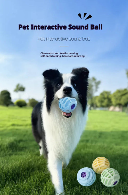 Balle sonore interactive pour animaux, la voix douce du chien et du chat