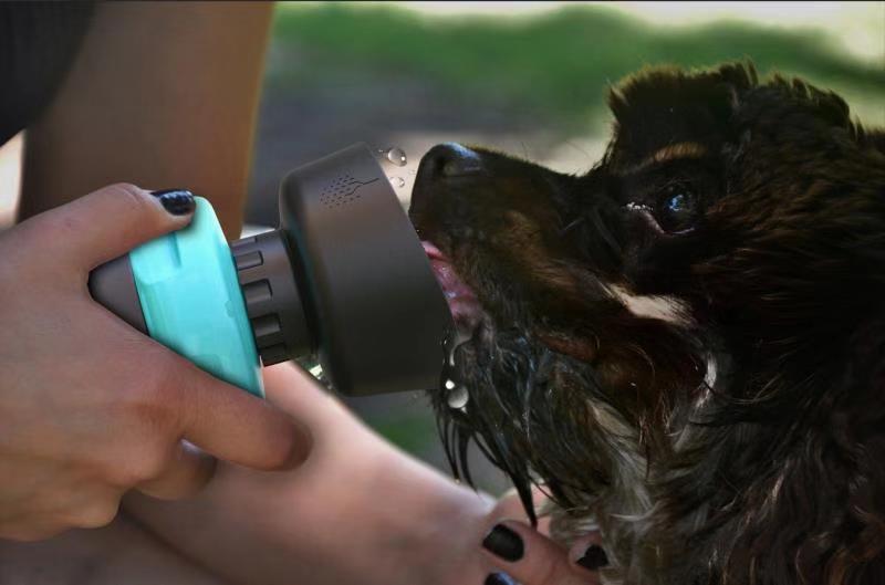 Bouteille d'eau pliable pour chien de voyage
