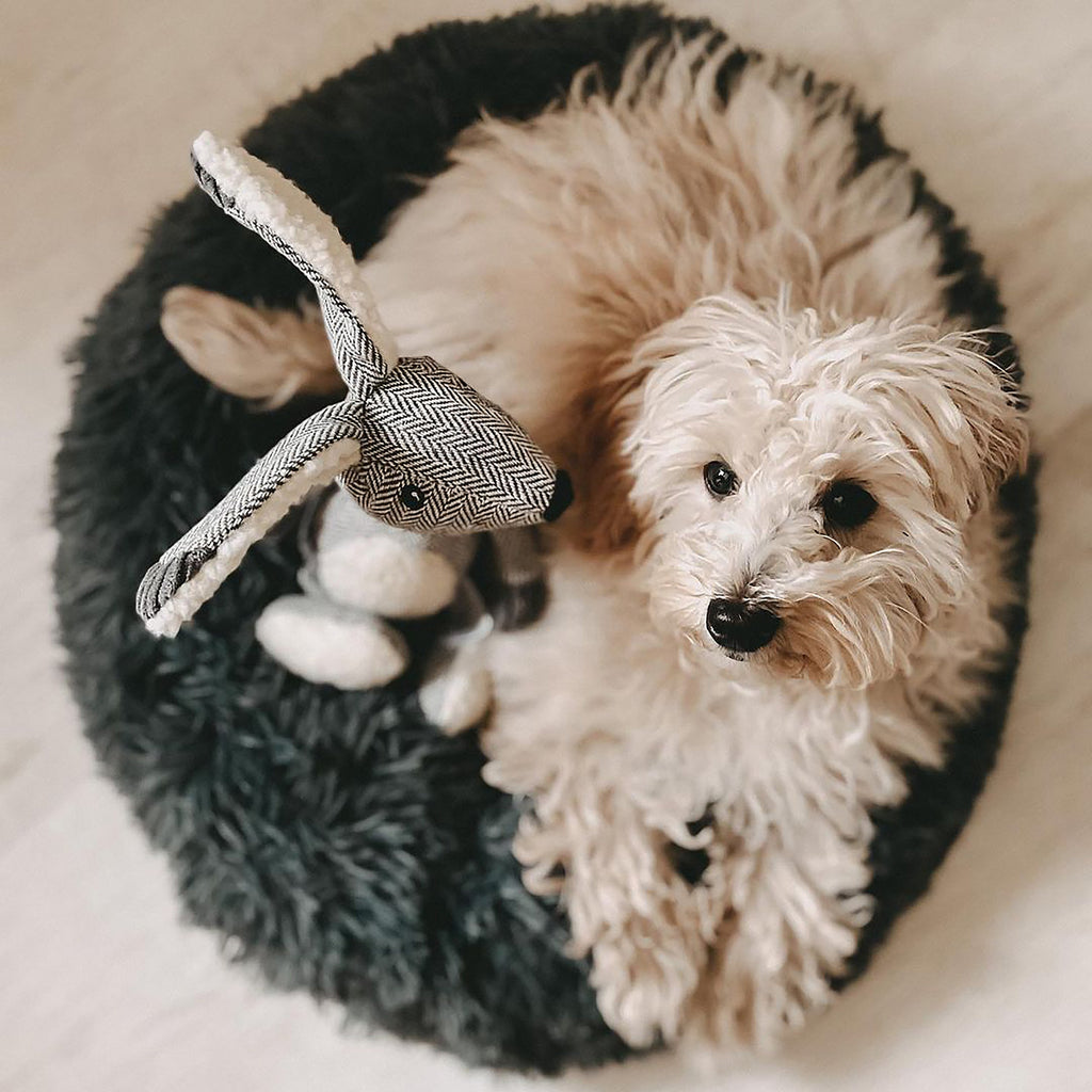Lit donut apaisant chien & chat