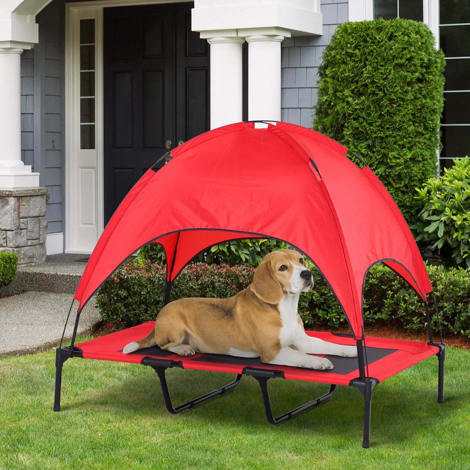 Lit surélevé pliable pour chien : confort en extérieur garanti !