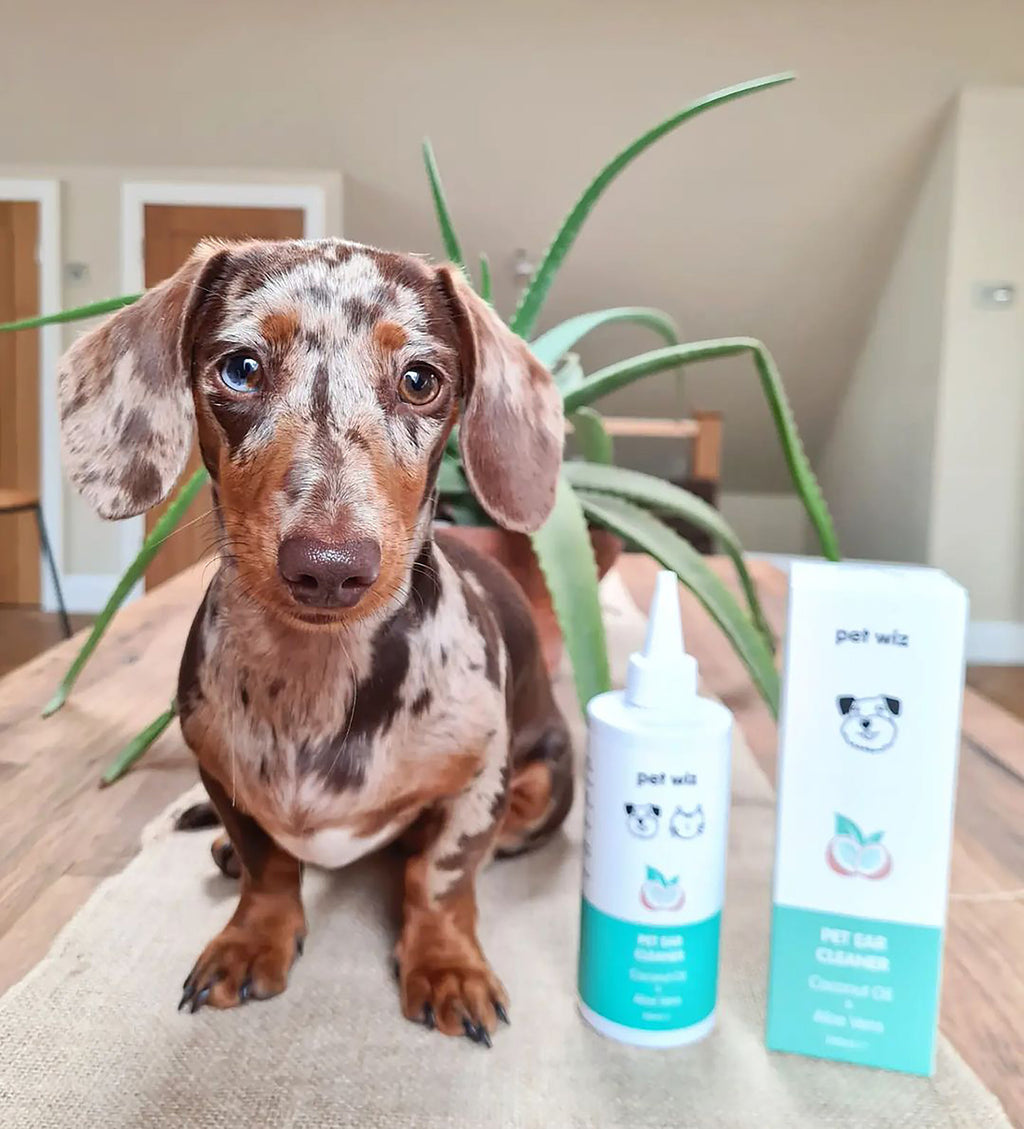 Nettoyant Auriculaire pour Chiens & Chats - Huile de Coco & Aloe Vera