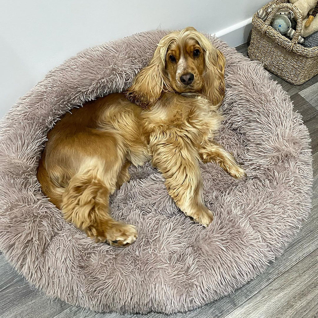 Lit donut apaisant chien & chat