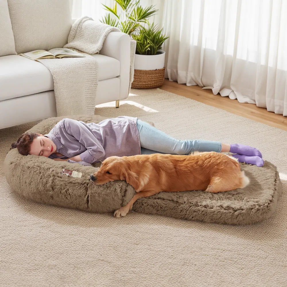 Lit pliable en peluche pour chien : confort ultime à emporter