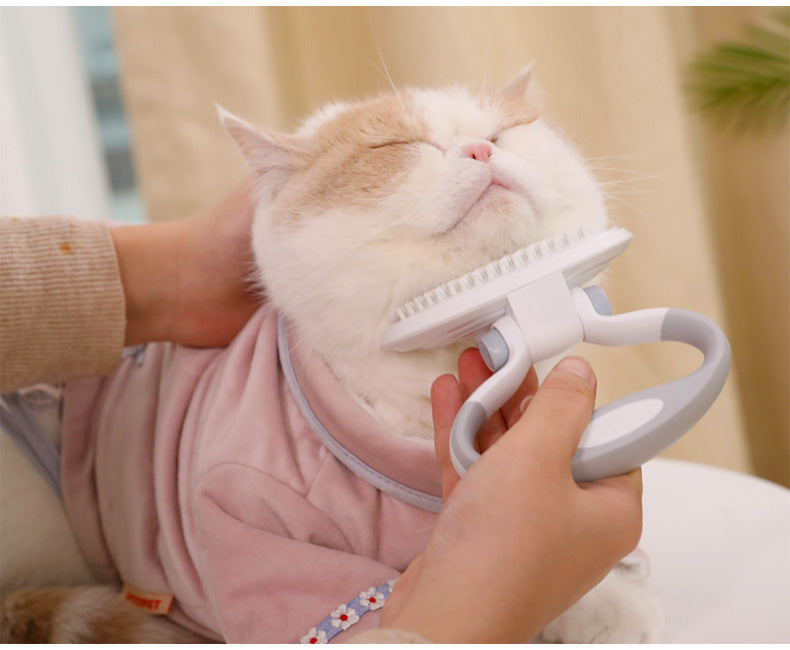 Kit de Brosse de Toilettage pour Chats