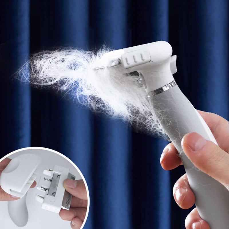 Kit de Brosse de Toilettage pour Chats