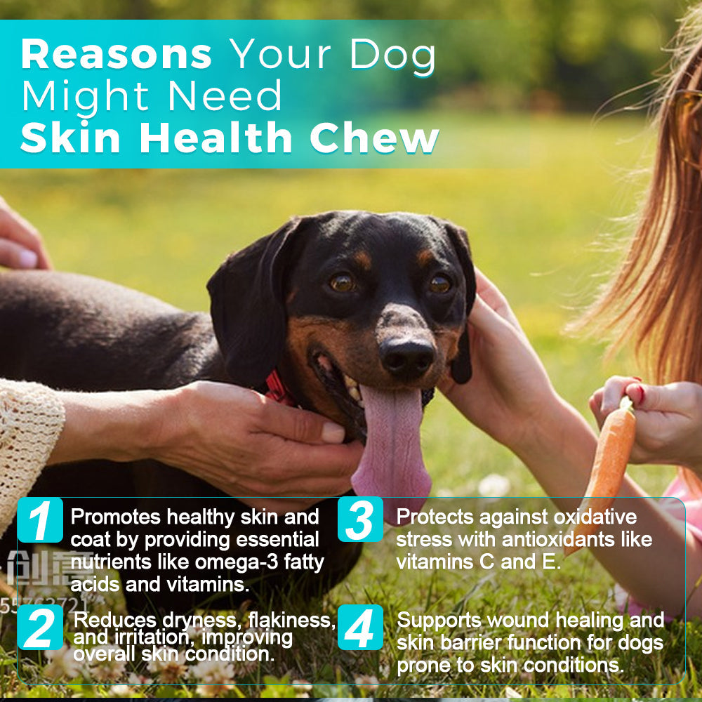 Friandises pour la santé de la peau des chiens – Omega-3 et antioxydants