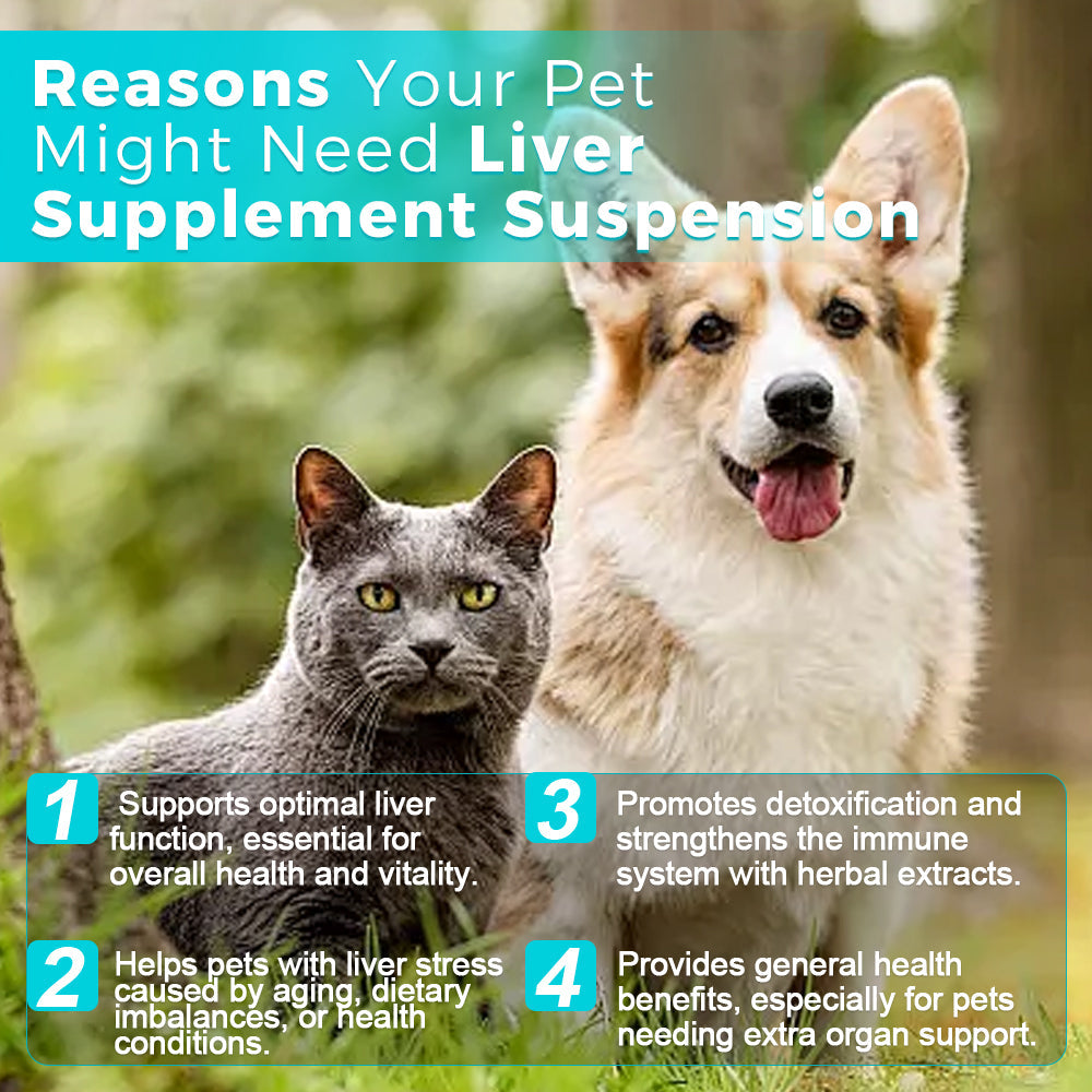 Suspension de supplément hépatique - 30 mL