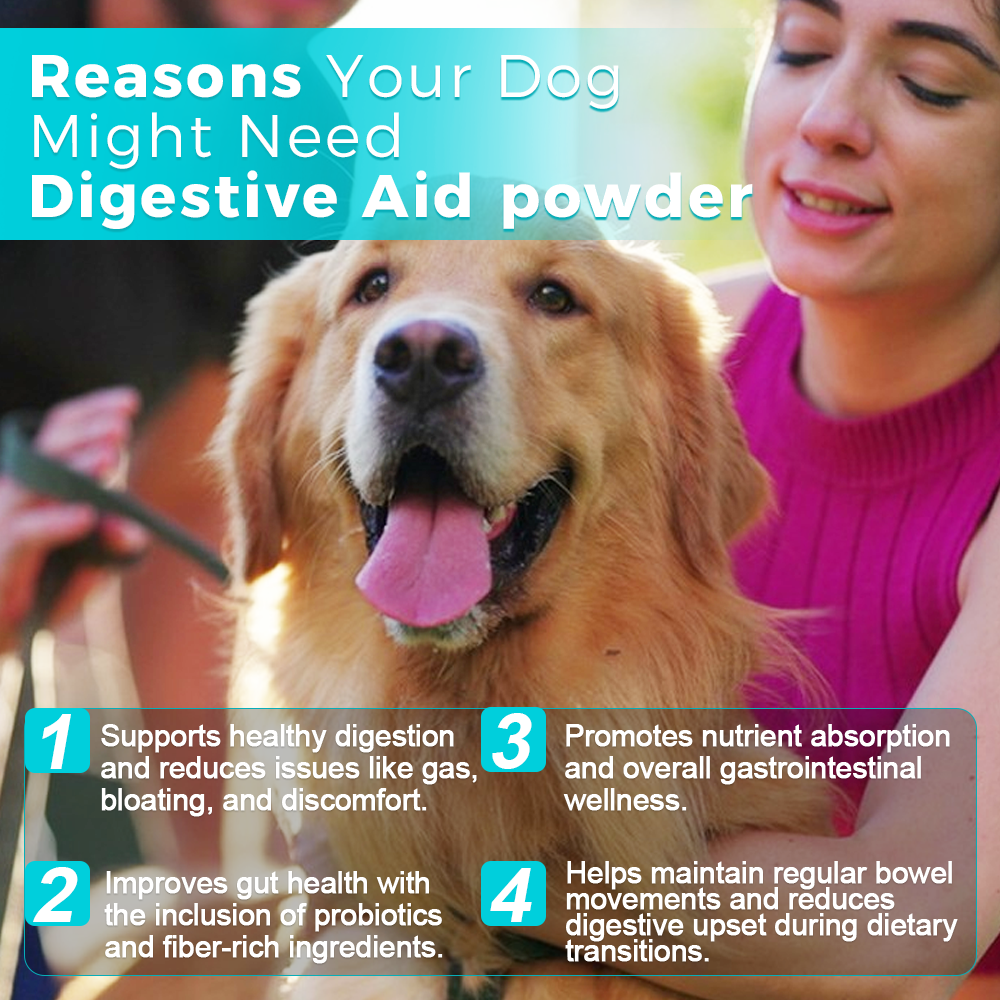 Poudre Aide Digestive pour Chien