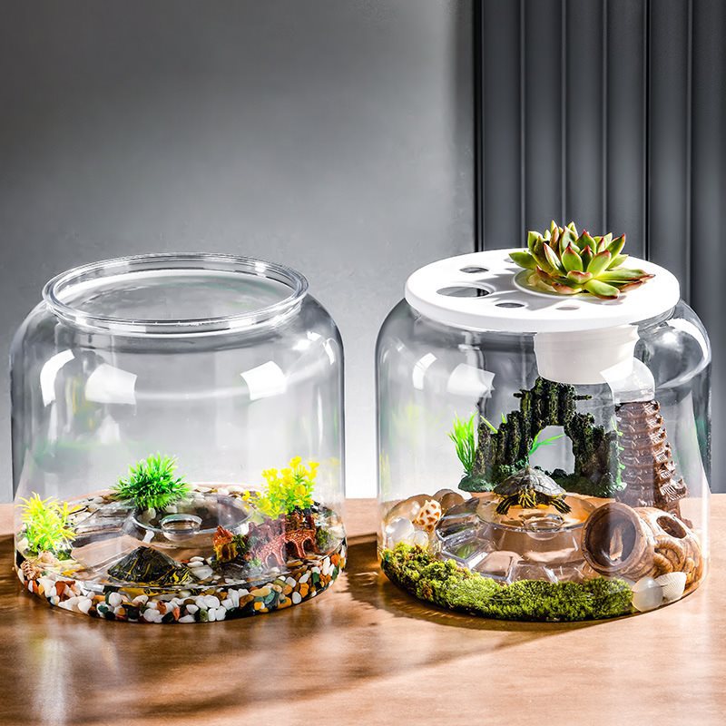 Réservoir à Poissons Écologique : Apportez Nature et Sérénité