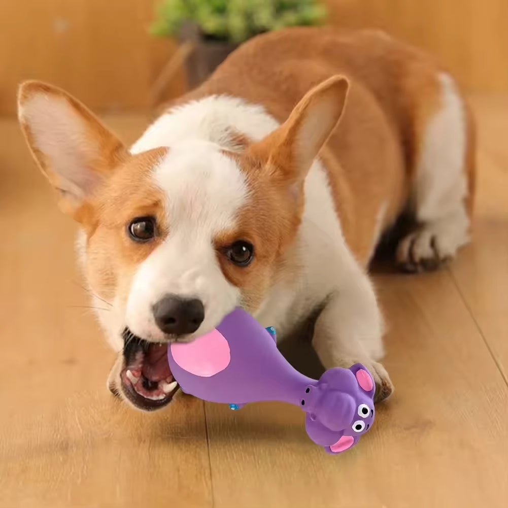 4 jouets à mâcher en latex pour chien avec son