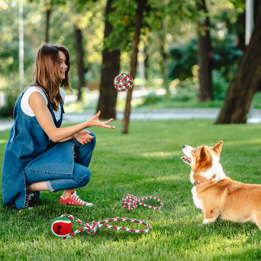 Ensemble de 5 jouets à mâcher en corde de Noël pour chiens