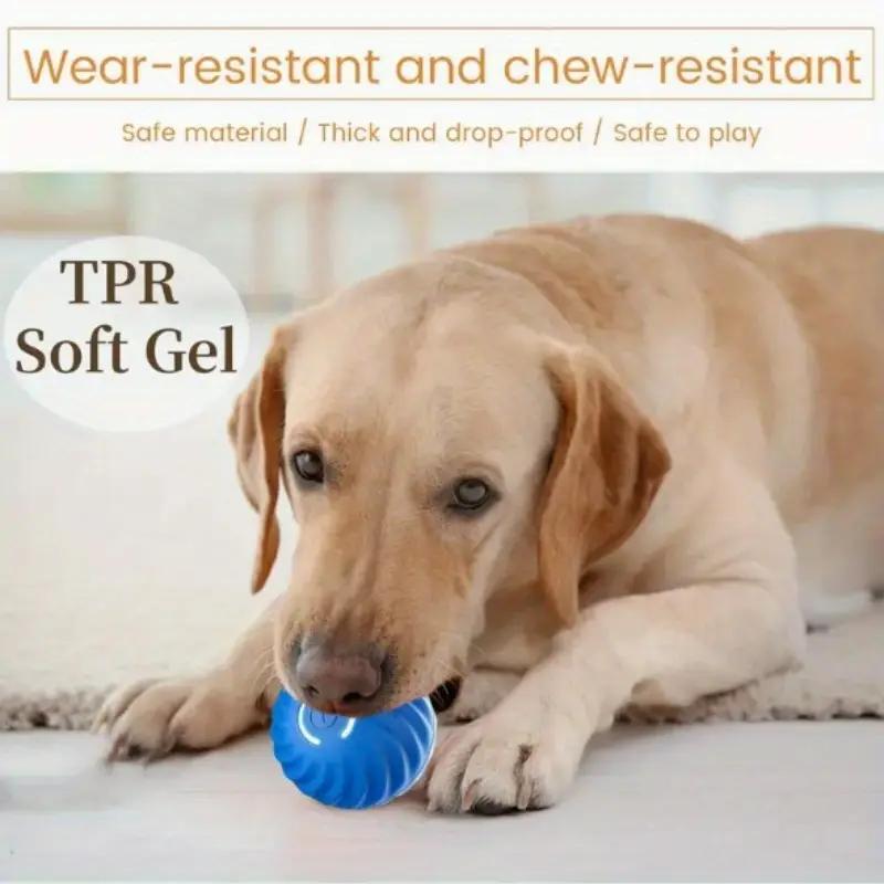 Balle rebondissante bleue et orange pour chats et animaux amusants