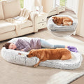 Lit pliable en peluche pour chien : confort ultime à emporter
