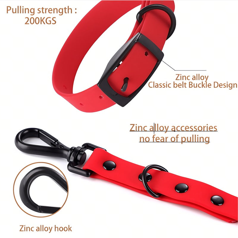 Collier et Laisse en Silicone pour Animaux