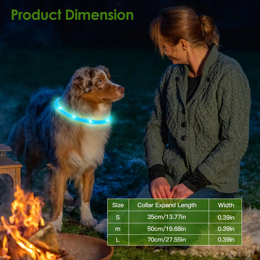 1Pc USB Rechargeable LED Chien Collier Multi Color Lighting Chien Safety