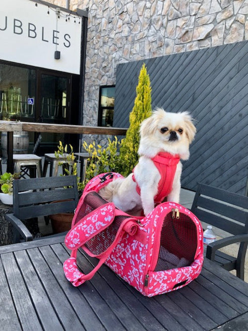 312 Hideaway™ Duffel - Animal Transport