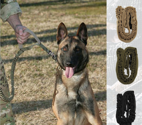 Laisse pour chien avec fils réfléchissants
