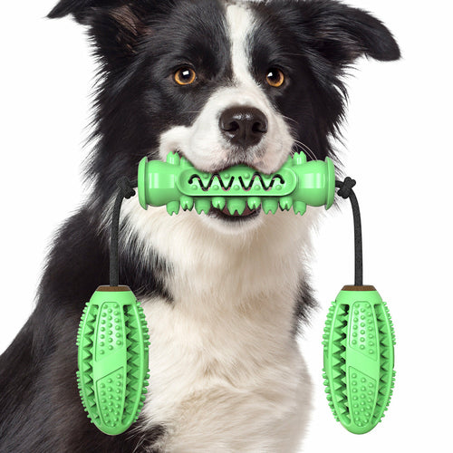 Os en caoutchouc pour chien, brosse à dents intégrée