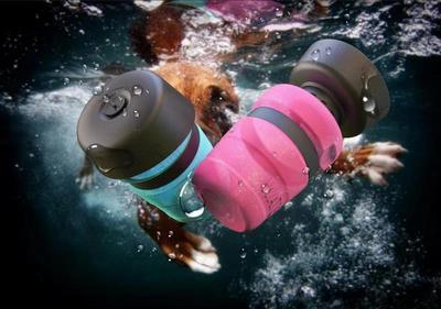 Bouteille d'eau pliable pour chien de voyage