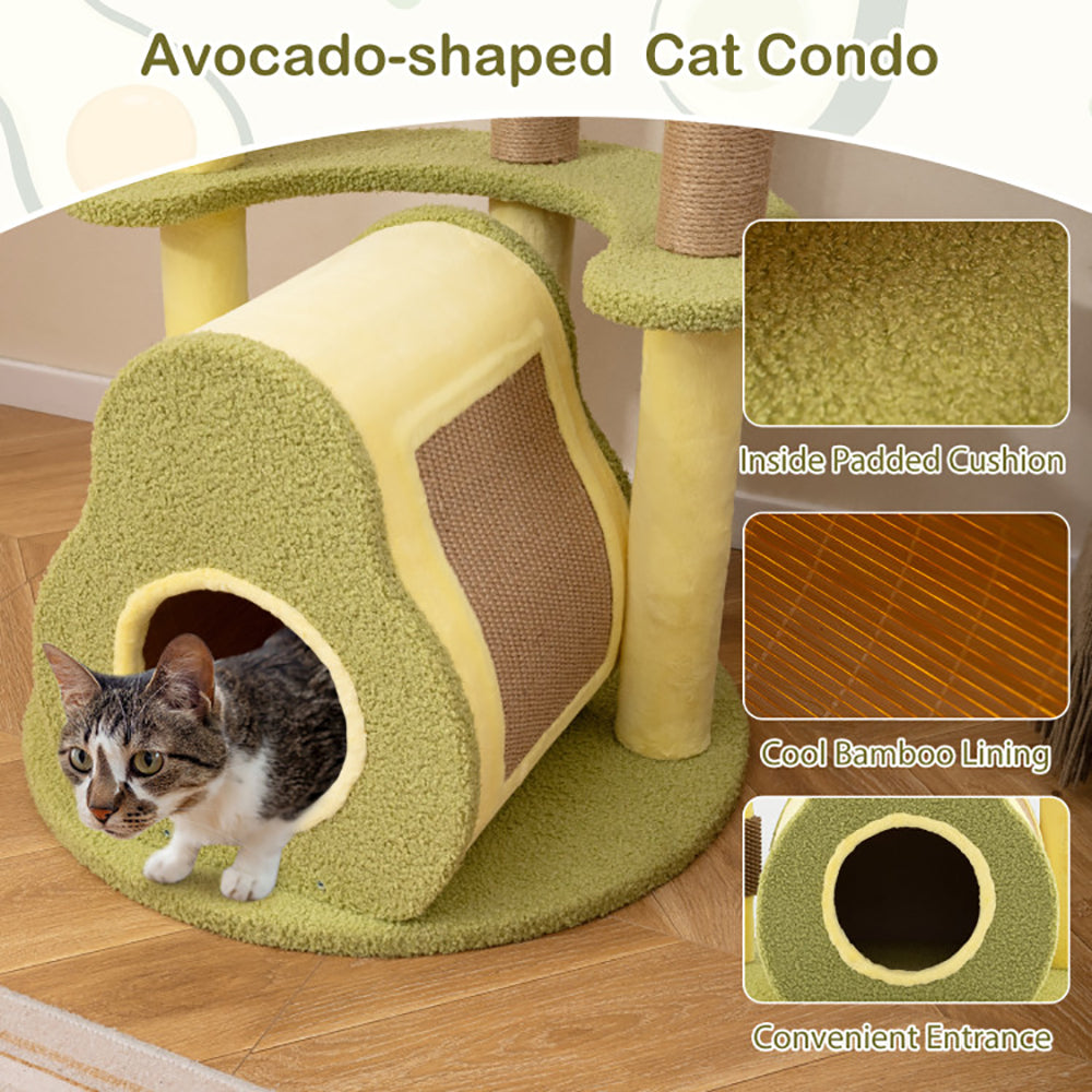 Arbre à chat avocat : espace de jeu et repos sécurisé