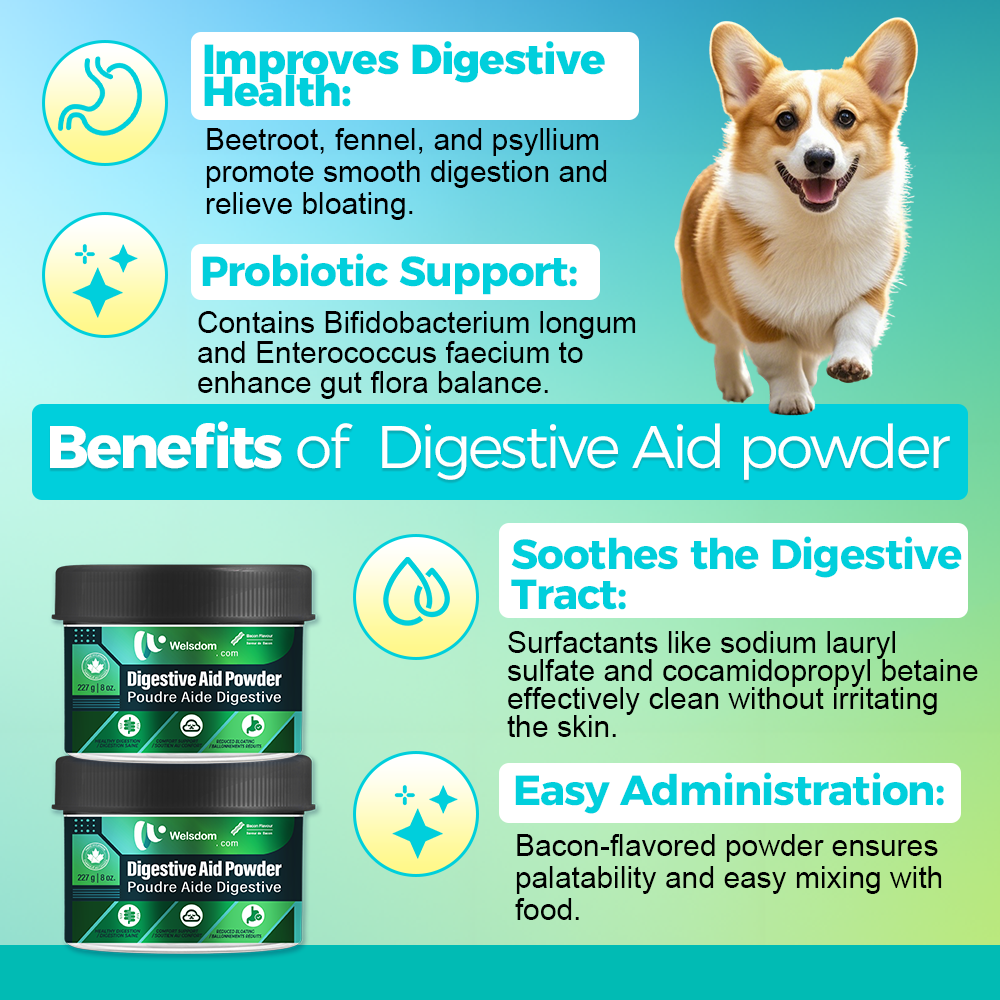 Poudre Aide Digestive pour Chien