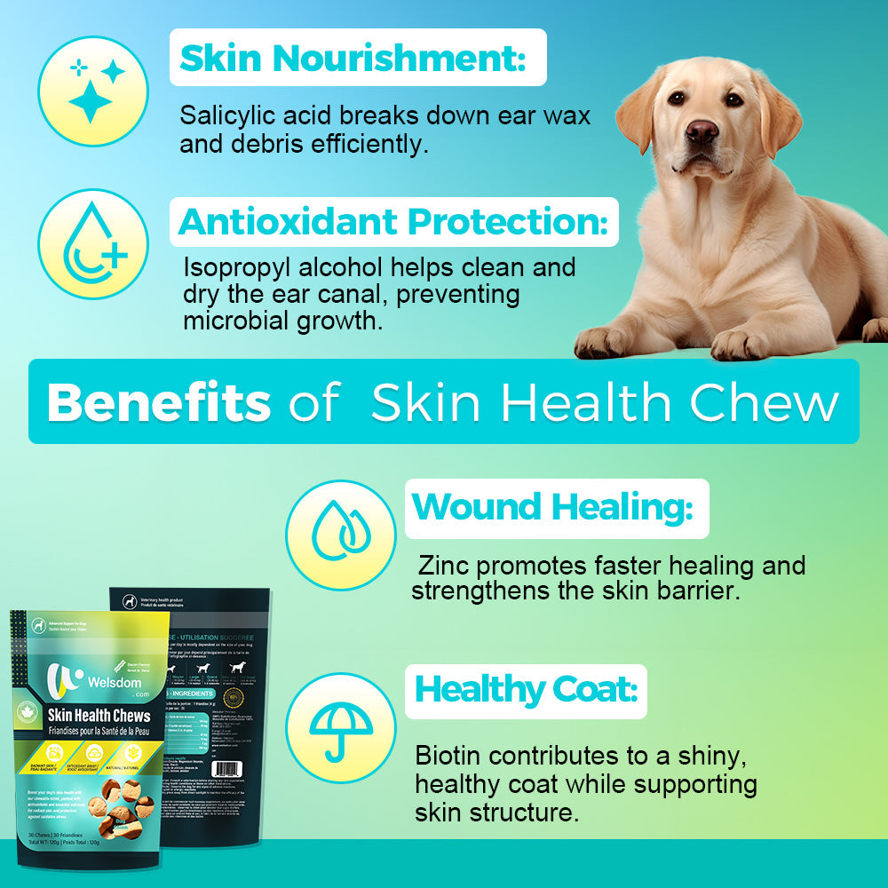 Friandises pour la santé de la peau des chiens – Omega-3 et antioxydants