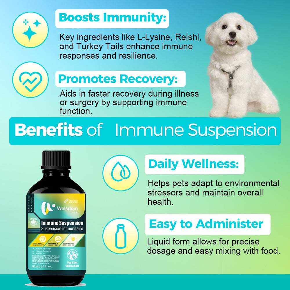 Suspension Immunitaire – Liquide Vétérinaire (60 mL)