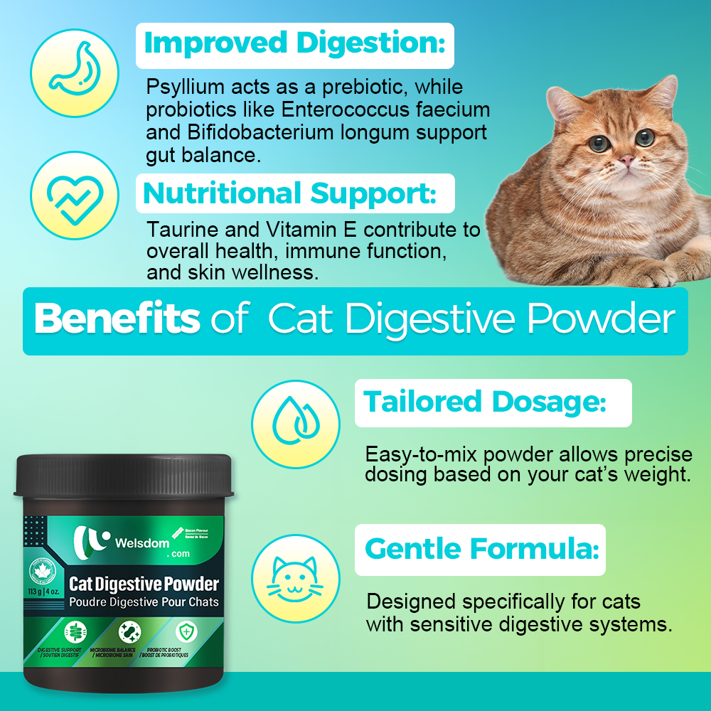 Poudre Digestive pour Chat