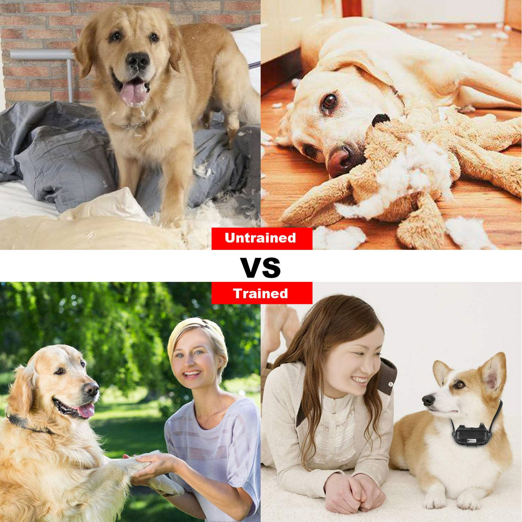 1Pc Collier de Dressage pour Chien avec Télécommande IP67 Imperméable