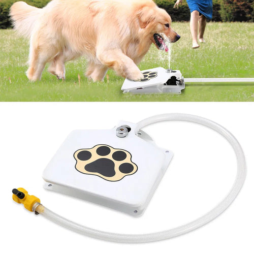Fontaine d'Eau Extérieure pour Chien