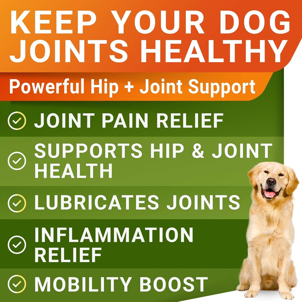 Complément de Santé des Hanches et Articulations pour Chiens - 120 Croquettes