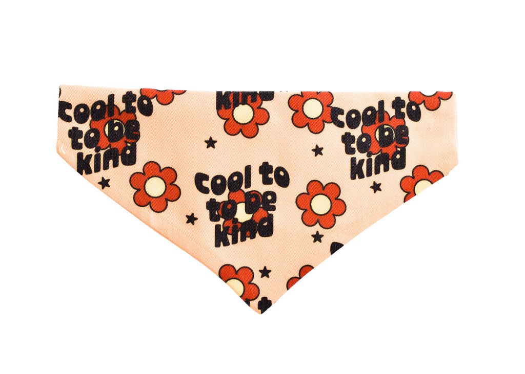 Bandana Cool pour Être Gentil