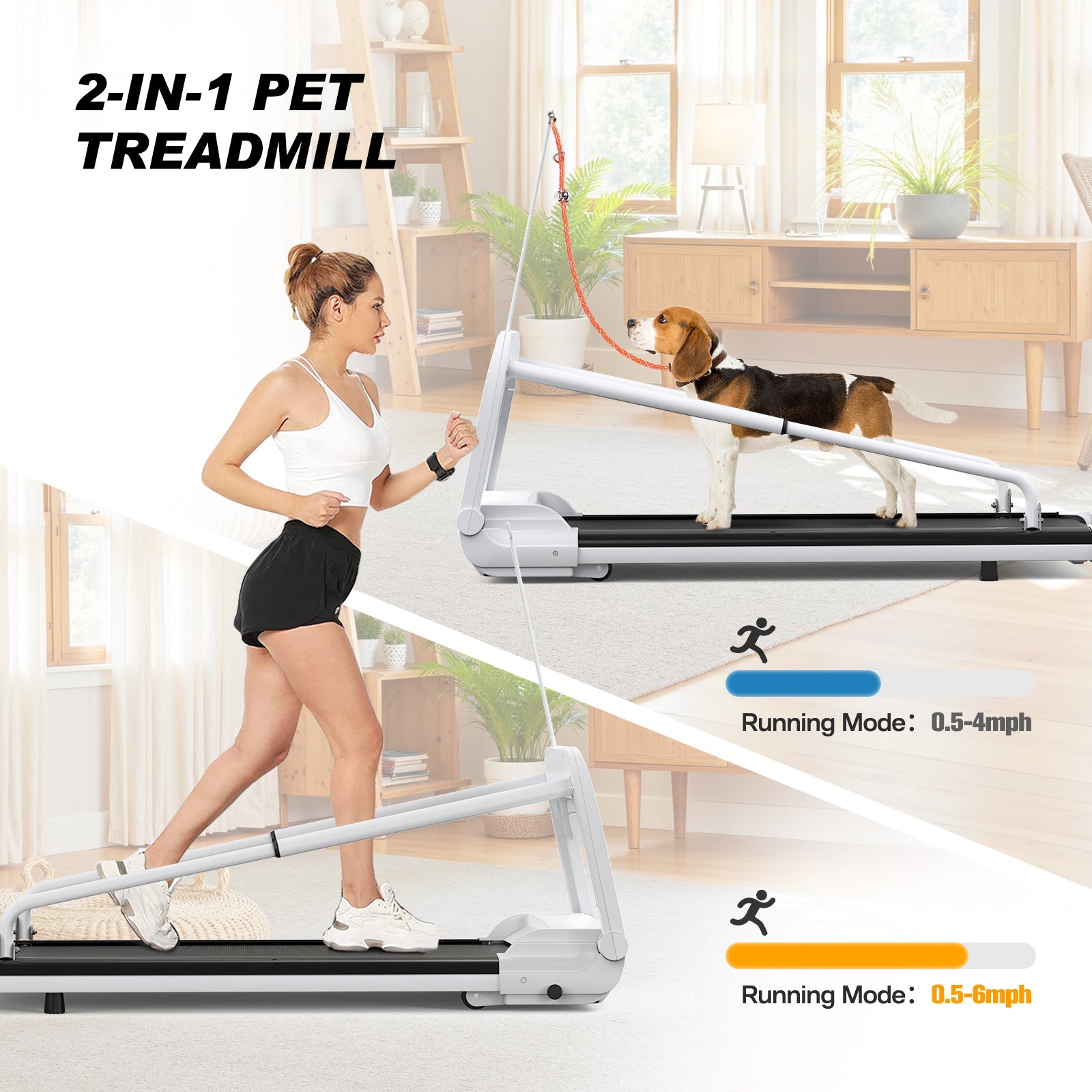 Nouveau Tapis de Course Silencieux Intelligent pour Animaux, Vitesse Réglable, Parfait pour Petits