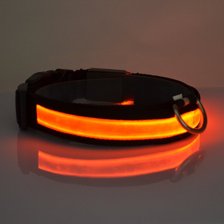 Collier Lumineux LED pour Chien