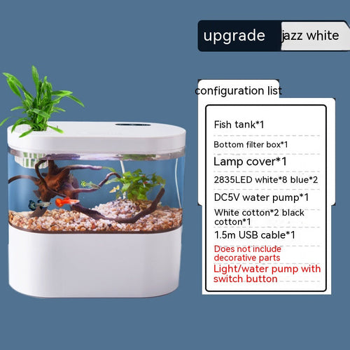 Mini Aquarium de Bureau Écologique