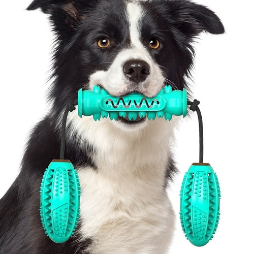 Os en caoutchouc pour chien, brosse à dents intégrée