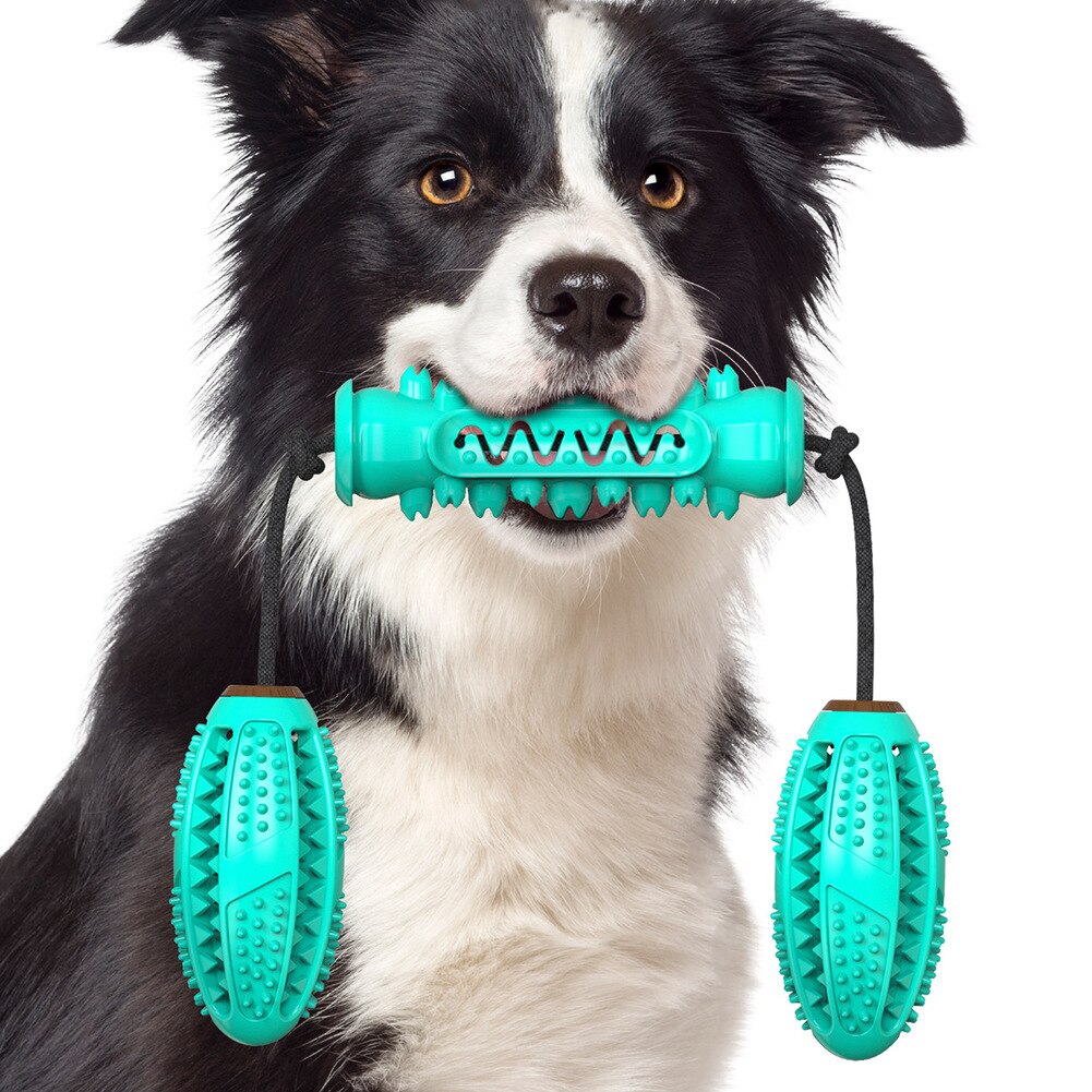 Os en caoutchouc pour chien, brosse à dents intégrée