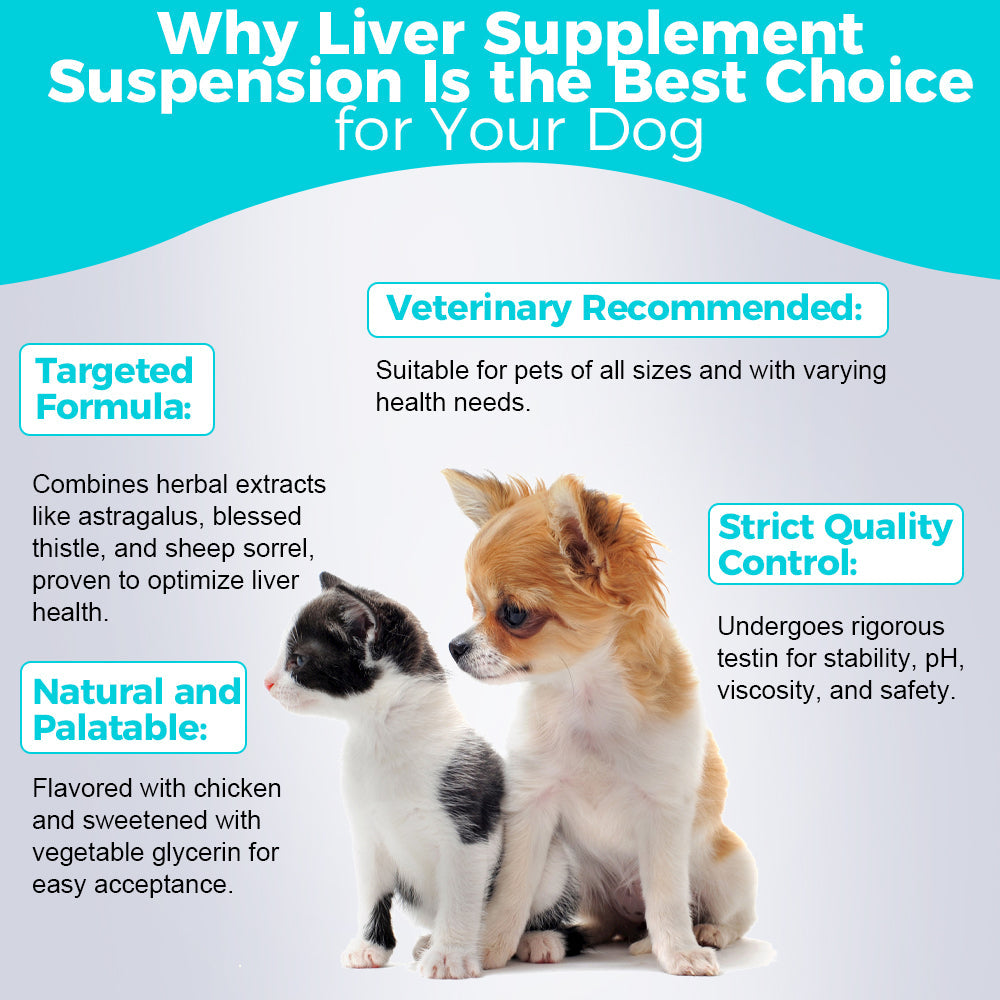 Suspension de supplément hépatique - 30mL