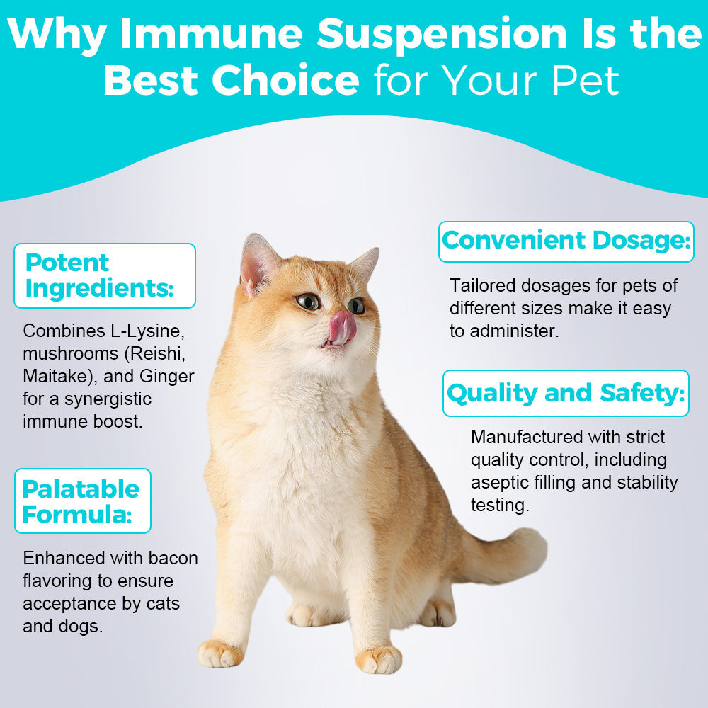 Suspension Immunitaire – Liquide Vétérinaire (60 mL)