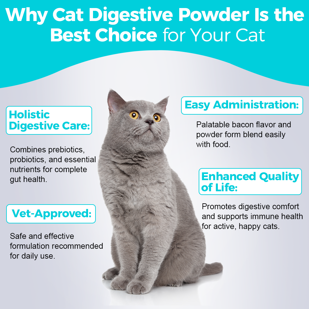 Poudre Digestive pour Chat