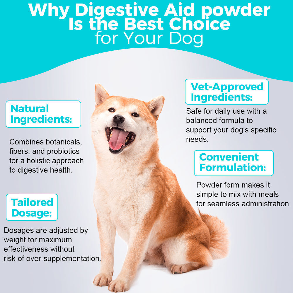 Poudre Aide Digestive pour Chien