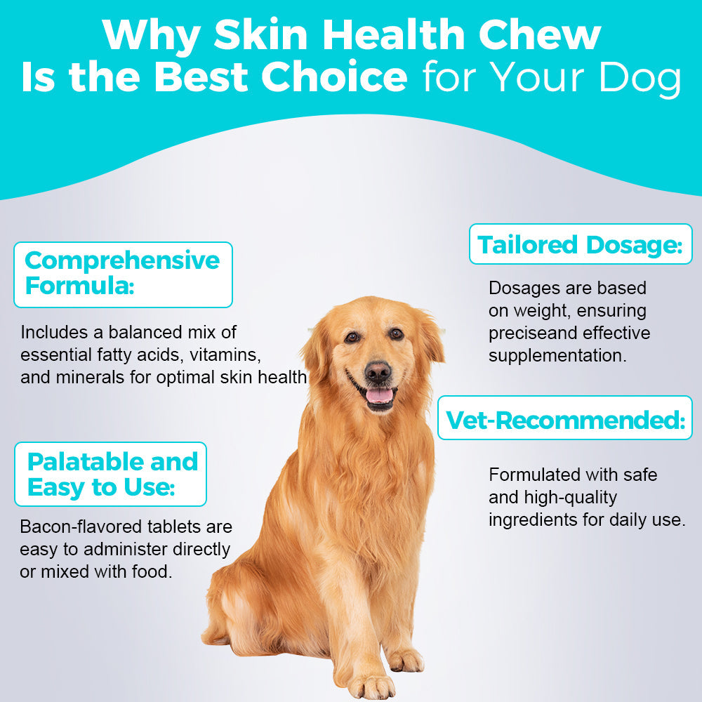 Friandises pour la santé de la peau des chiens – Omega-3 et antioxydants