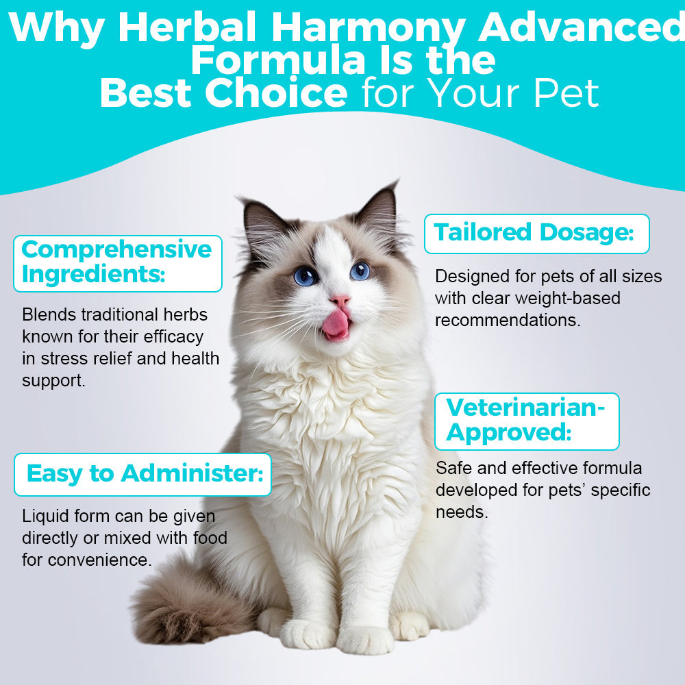 Suspension Avancée Harmonie Herbale - 30mL