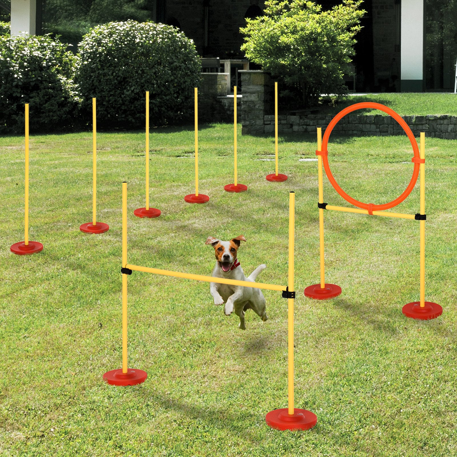 Ensemble d'Obstacles d'Agilité Portable pour Chiens - Amusement et Complicité