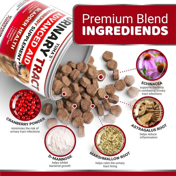 Traitement UTI pour Chien - 170 Friandises Cranberry
