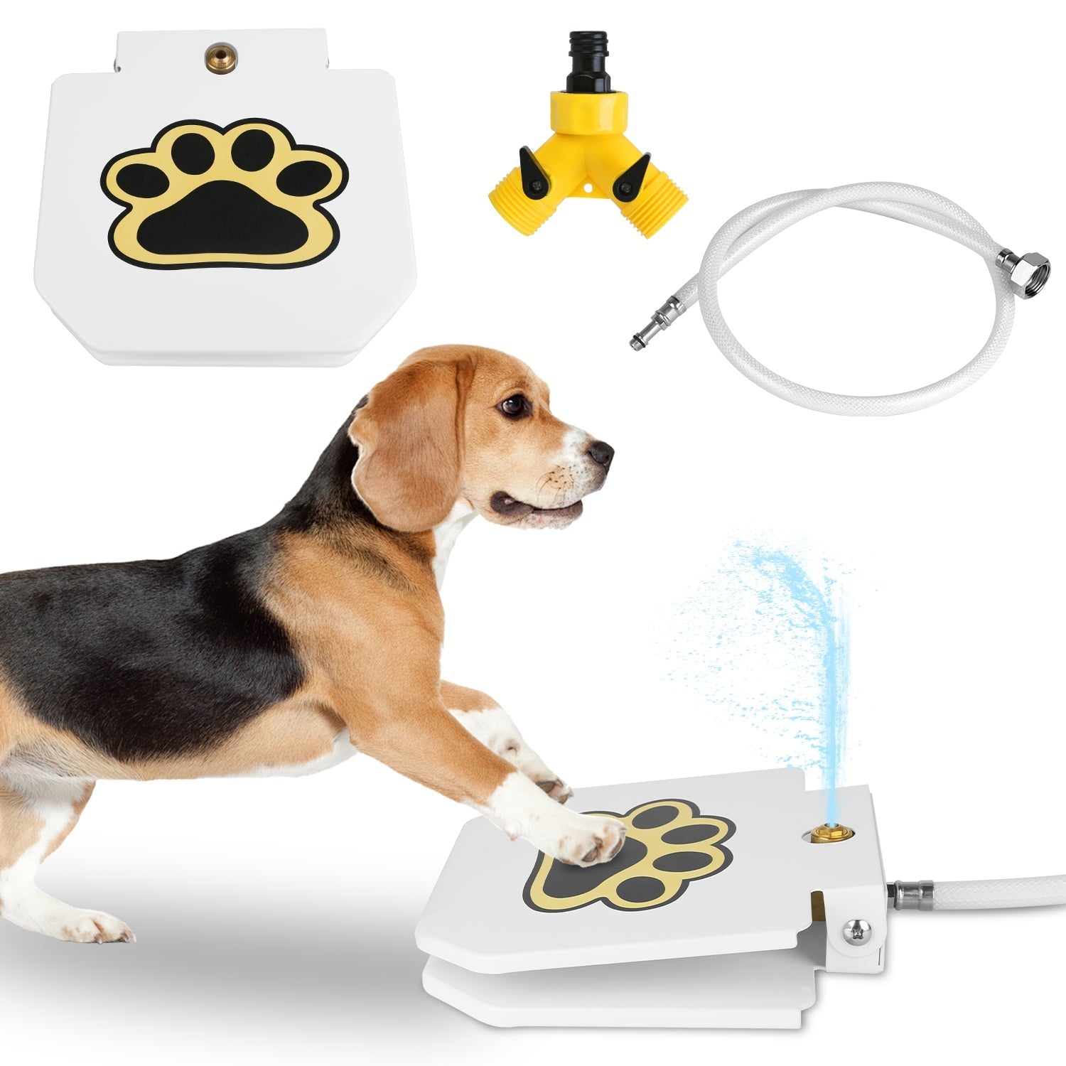 Fontaine d'Eau Extérieure pour Chien - Hydratation Ludique